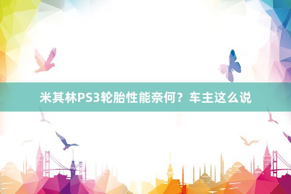 米其林PS3轮胎性能奈何？车主这么说